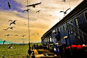 专业代购的在线DDOS平台攻击